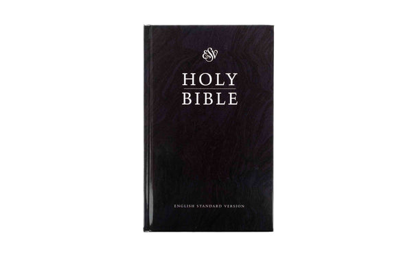 ESV HOLY BIBLE MEDIUM