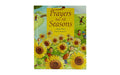 Prayers for All Seasons