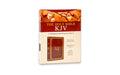 KJV-HOLY-BIBLE-TWO-YEAR-STUDY-PLAN