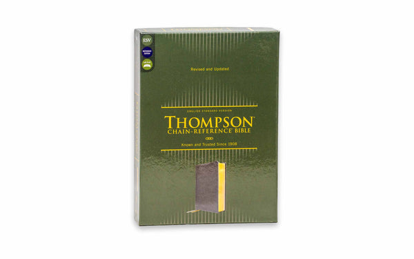 ESV-THOMPSON-CHAIN-REFERENCE-IMITATION-LEATHER