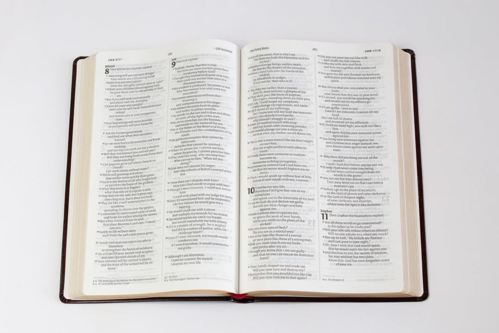 Niv English Bible Black Anglicized Version | Cromwell Bonded Leather | Thin Bible with Gilded Edge | Easy-to-Read Fonts | Easy to carry | Lifeway India Publication Leather Bound