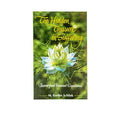 The Hidden Treasure in Suffering: Shared from Personal Experience