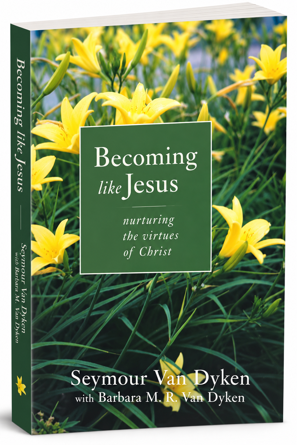 Becoming Like Jesus: Nurturing the Virtues of Christ: The Fruit of the Spirit in Human Experience