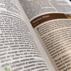 Holy Bible: New International Version, Study Bible (NIV Study Bible, Fully Revised Edition) Hardcover