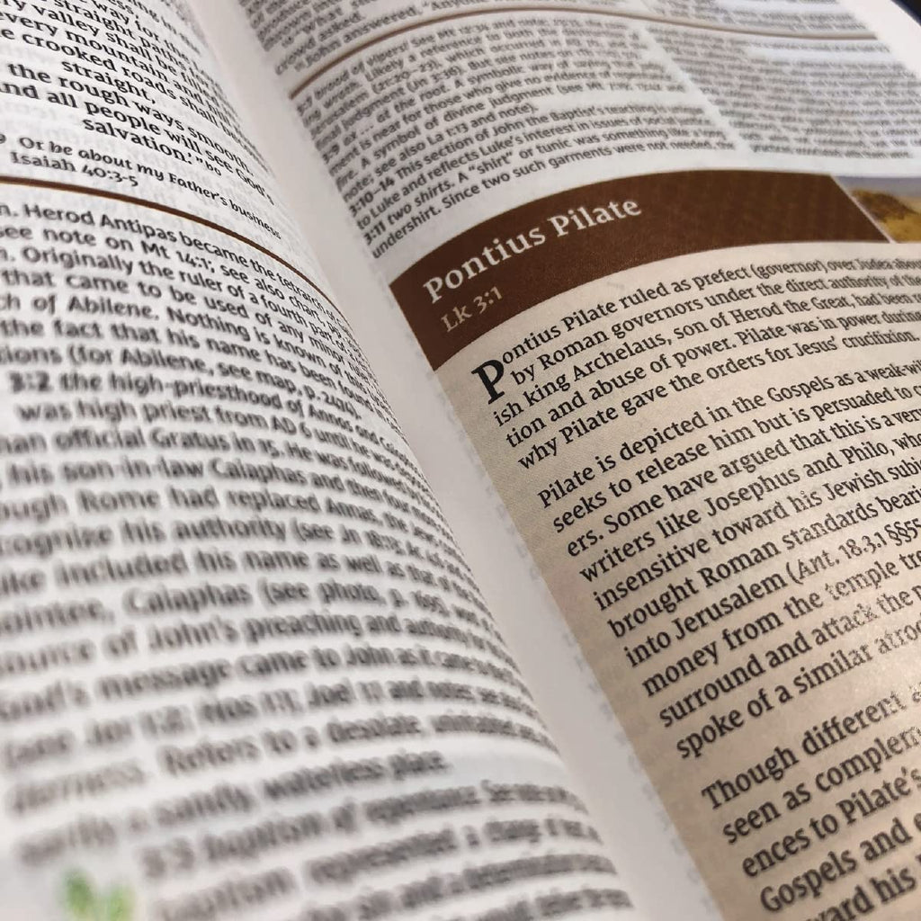 Holy Bible: New International Version, Study Bible (NIV Study Bible, Fully Revised Edition) Hardcover