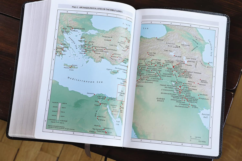 Niv, Thompson Chain-Reference Bible, Large Print, European Bonded Leather, (Harper Collins Publishers)
