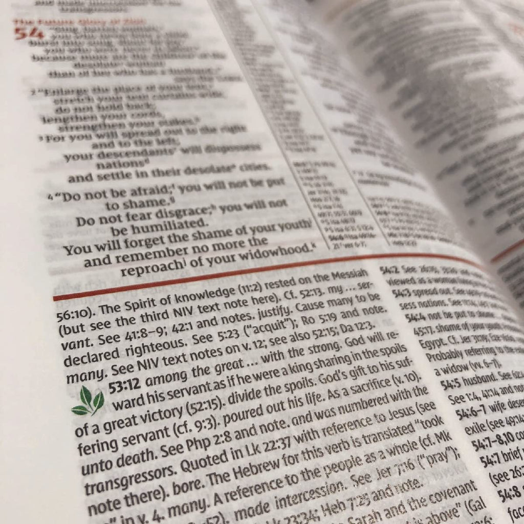 Holy Bible: New International Version, Study Bible (NIV Study Bible, Fully Revised Edition) Hardcover