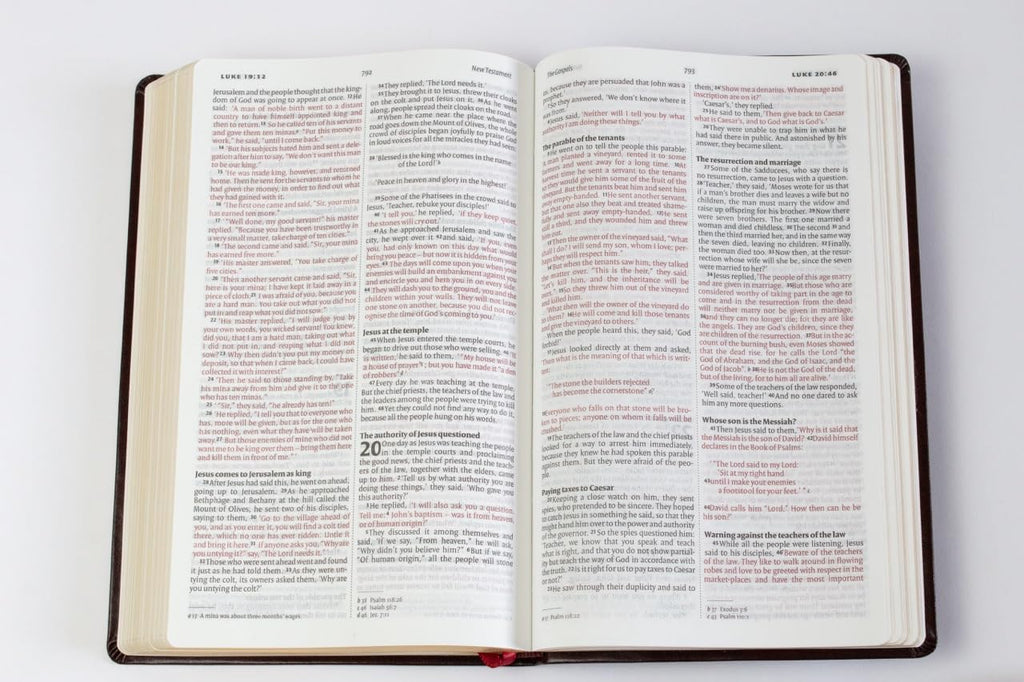 Niv English Bible Black Anglicized Version | Cromwell Bonded Leather | Thin Bible with Gilded Edge | Easy-to-Read Fonts | Easy to carry | Lifeway India Publication Leather Bound