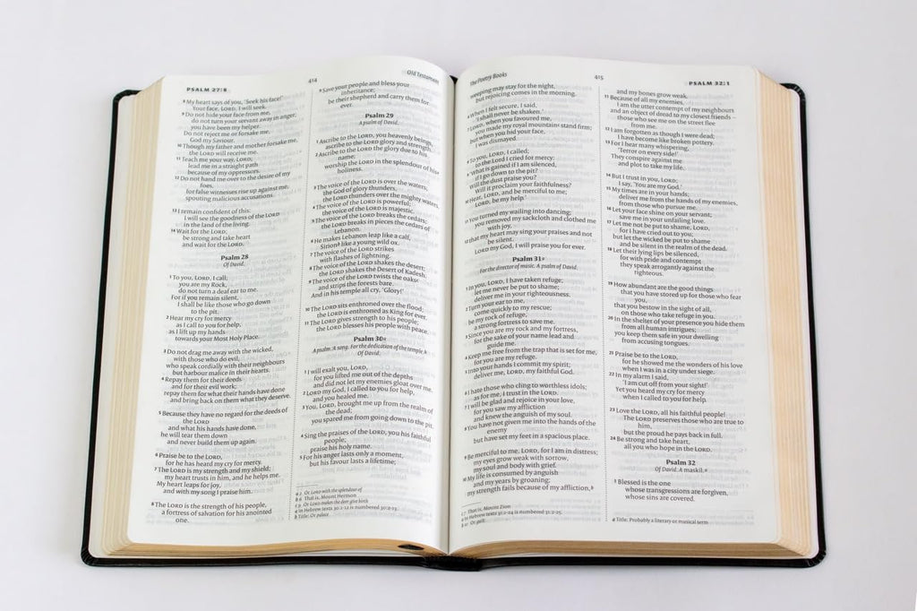 Niv English Bible Black Anglicised Version | Cromwell Bonded Leather | Thin Bible with Gilded Edge | Easy-to-Read Fonts | Easy to carry | Lifeway India Publication Leather Bound – 1 January 2024