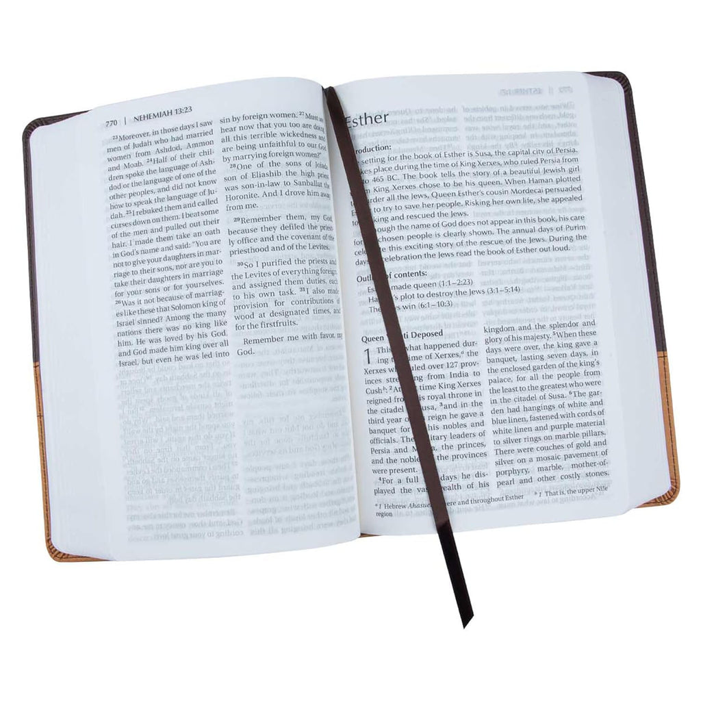 Niv Lp Chocolate Amber Npkg Gm - Zondervan Bibles