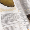 Holy Bible: New International Version, Study Bible (NIV Study Bible, Fully Revised Edition) Hardcover