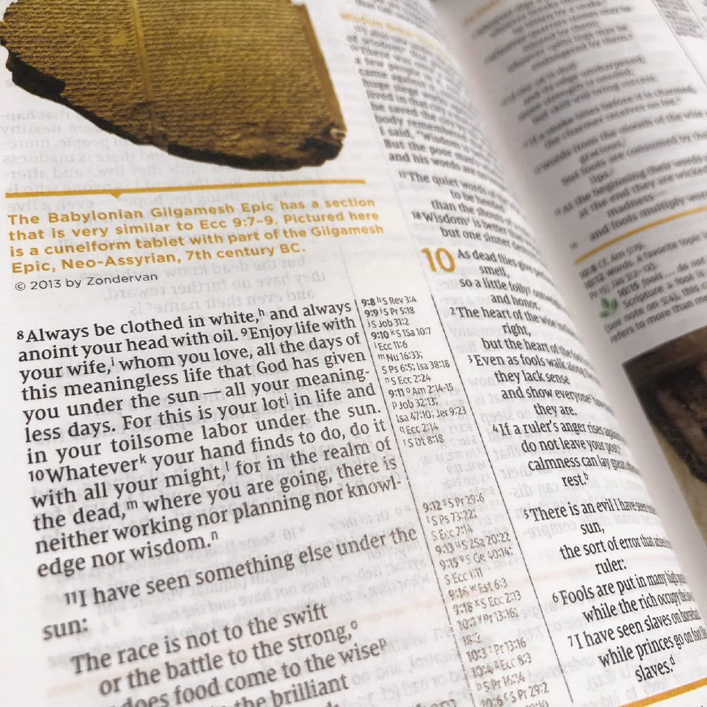 Holy Bible: New International Version, Study Bible (NIV Study Bible, Fully Revised Edition) Hardcover