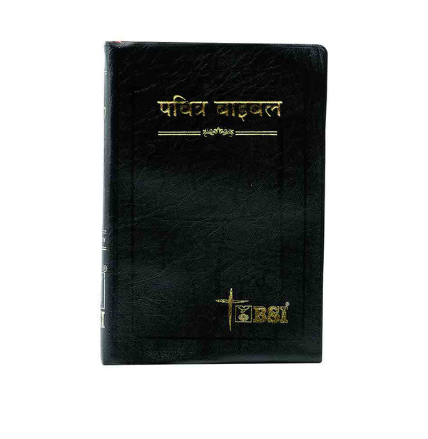 HOLY BIBLE (HINDI)