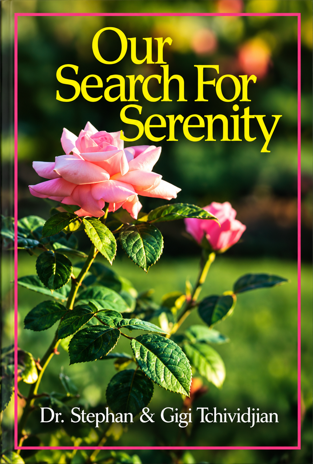 Our Search for Serenity (Pre-owned, Unused)