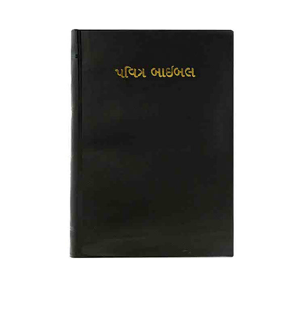 HOLY BIBLE (GUJARATI)