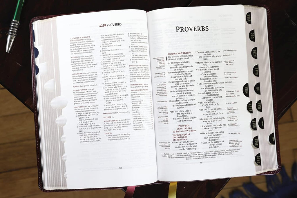 NIV, Thompson Chain-Reference Bible, Handy Size, Leathersoft, Burgundy, Thumb Indexed, Red Letter, Comfort Print (Harper Collins Publishers)