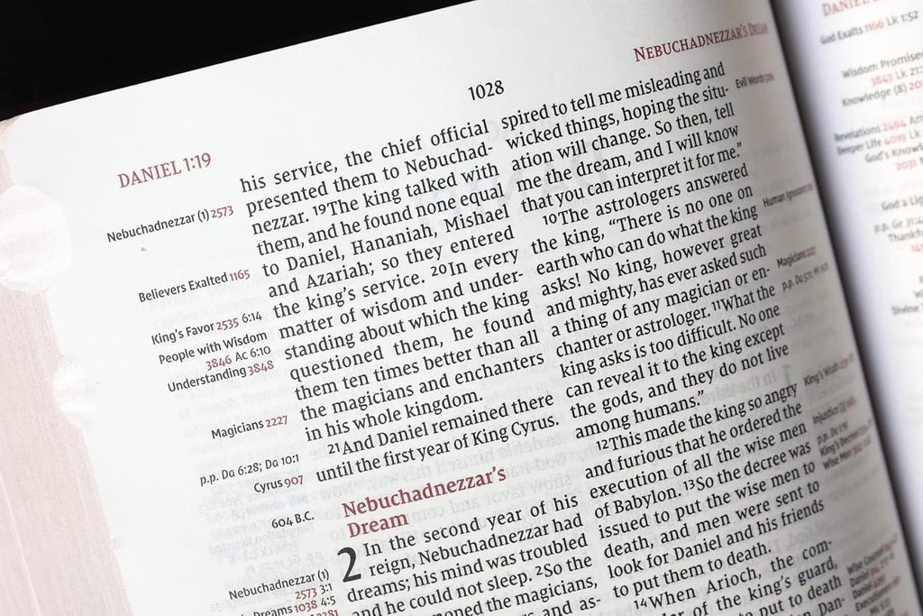 NIV, Thompson Chain-Reference Bible, Handy Size, Leathersoft, Burgundy, Thumb Indexed, Red Letter, Comfort Print (Harper Collins Publishers)