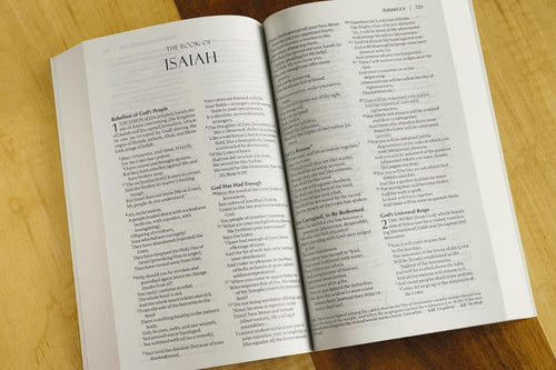 AMPLIFIED HOLY BIBLE SC Paperback
