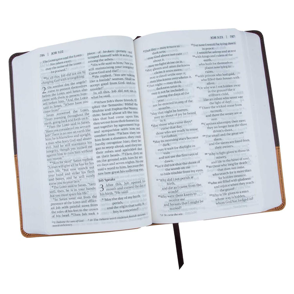 Niv Lp Chocolate Amber Npkg Gm - Zondervan Bibles
