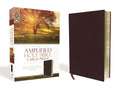Amplified Holy Bible (Large Print)