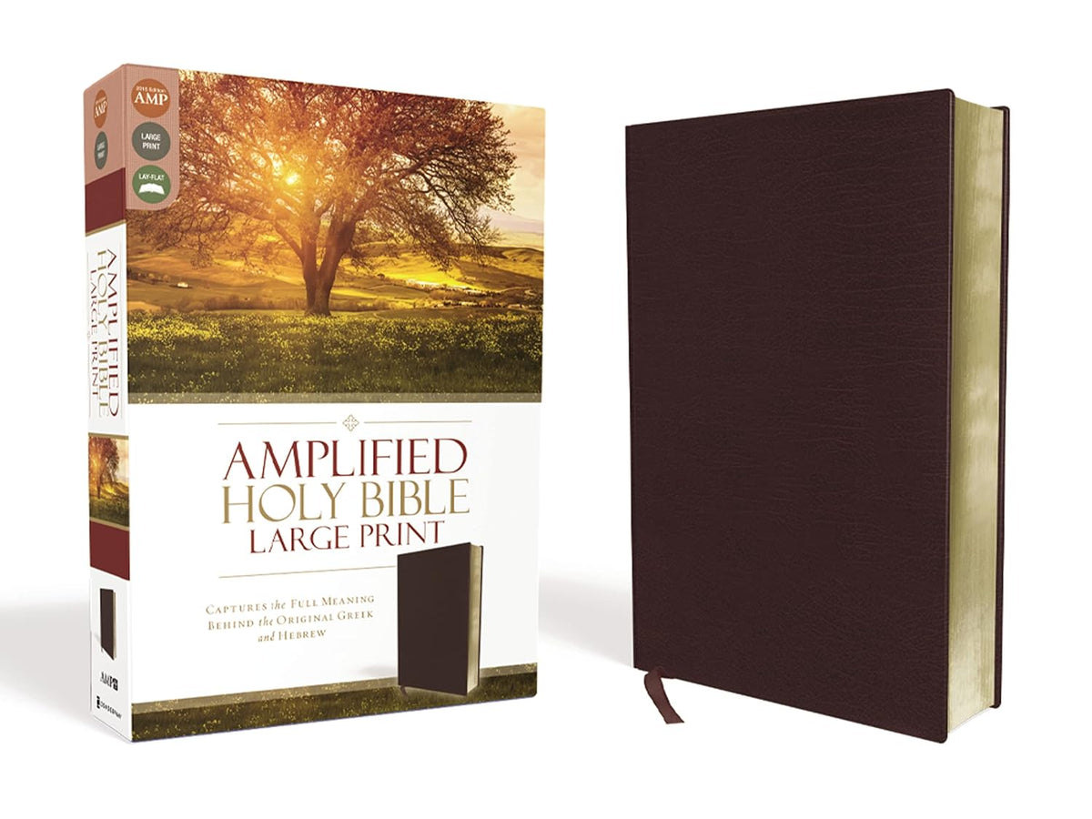 Amplified Holy Bible (Large Print)