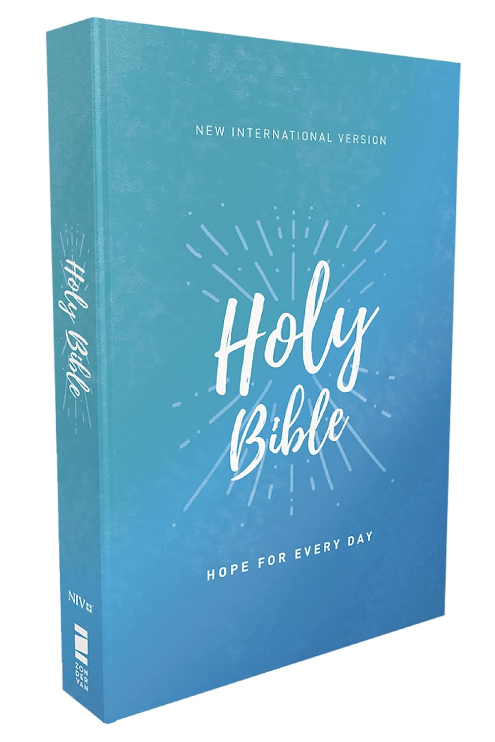 NIV Economy Holy Bible