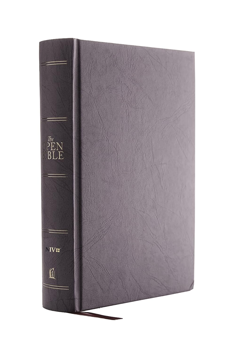 NIV Open Bible