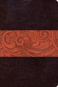 CSB Rainbow Study Bible, Rust LeatherTouch, Indexed, QVC Edition,
