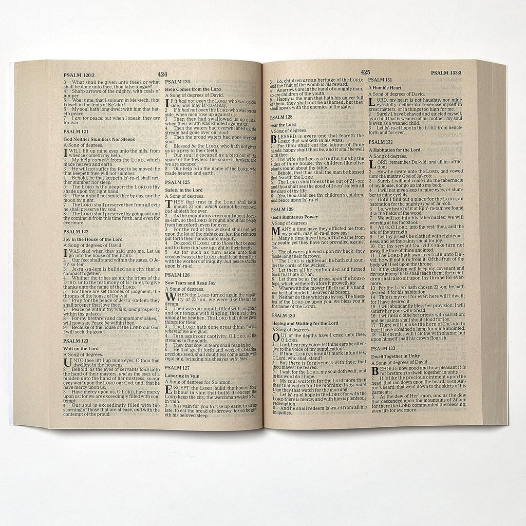 KJV, Value Outreach Bible, Paperback: Holy Bible, King James Version Paperback – 1 January 2017