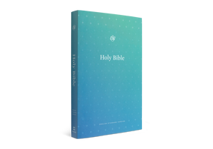 ESV Outreach Bible Paperback -( For Bulk Contact with us)