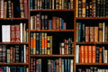 CSB Men's Daily Bible