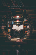 NASB Study Bible