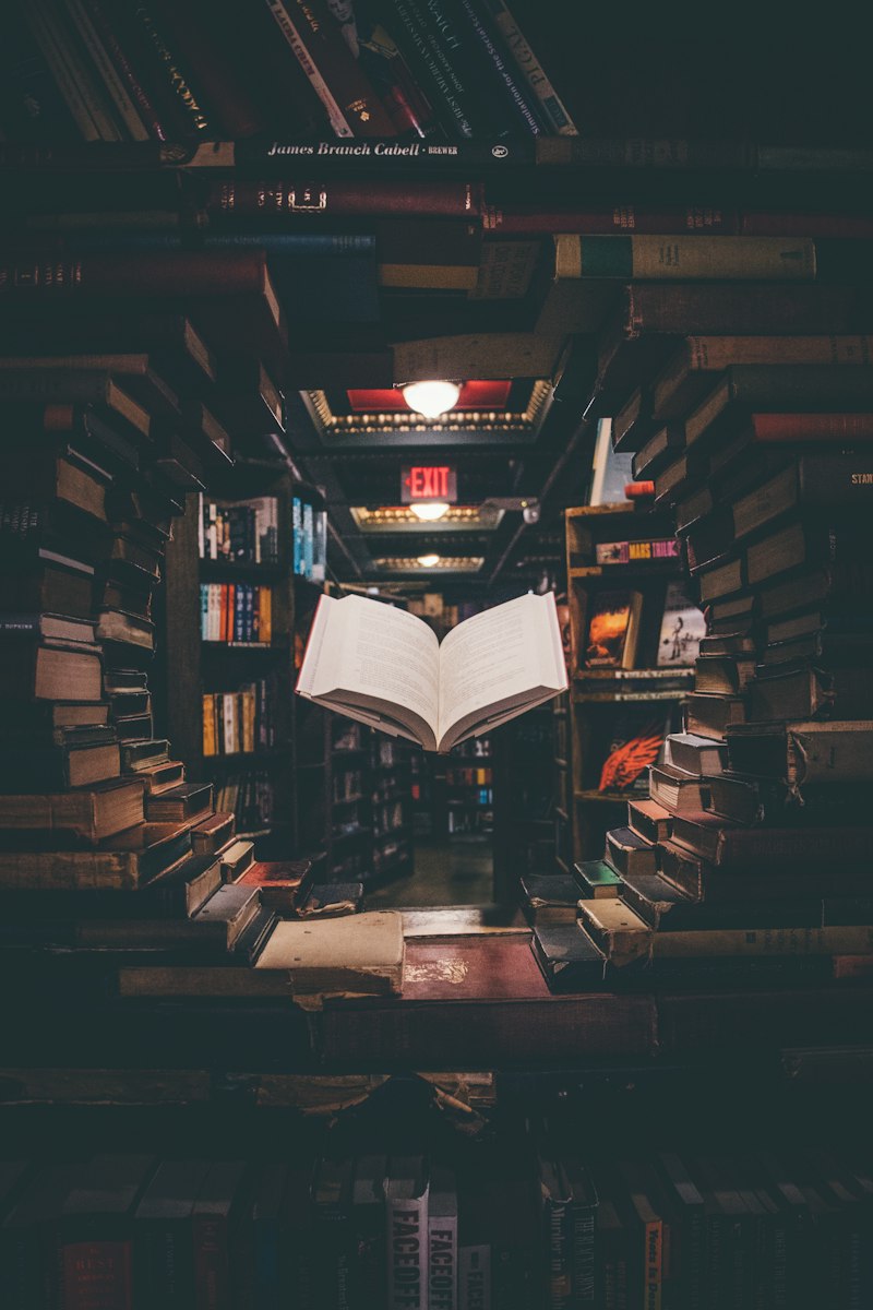 NASB Study Bible