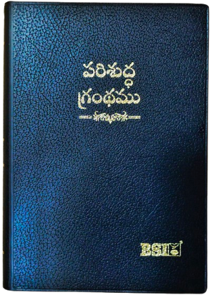Telugu Bible Classic Series Red letter Bible -  పరిశుద్ధ గ్రంథము: Telugu O.V. 2021 (Amity) with Concordance Vinyl TI Gilt Yapp
