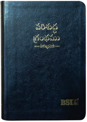 పరిశుద్ధ గ్రంథము: Telugu O.V. 2021 (Amity) Telugu Bible with Concordance Compact Vinyl TI Gilt Zip
