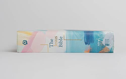 Holy Bible: New International Version, Multi-Color / Teal, Leathersoft, Study, Comfort Print