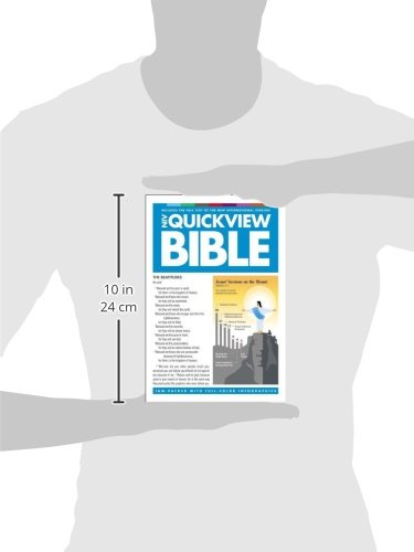 Quickview Bible: New International Version, Visual Snapshots of God's Word