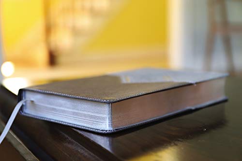 NIV, Premium Gift Bible, Leathersoft, Black/Gray, Red Letter