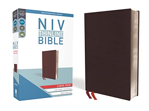 Holy Bible: New International Version, Burgundy, Bonded Leather, Thinline Bible: Red Letter Edition