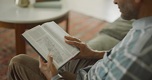 ESV Concise Study Bible (TM): English Standard Version