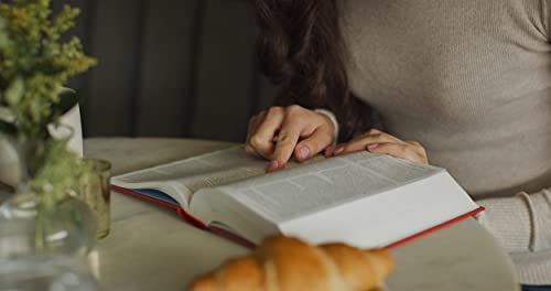 ESV Concise Study Bible (TM): English Standard Version