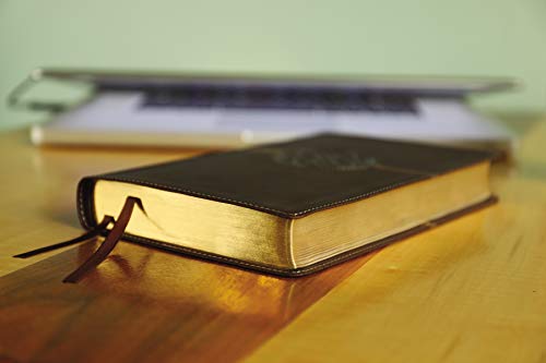 Holy Bible: New International Version, Brown, Leathersoft, Thinline Reference, Comfort Print