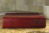 NIV & The Message Parallel Study Bible: Dark Caramel/Black Cherry Italian Duo-Tone