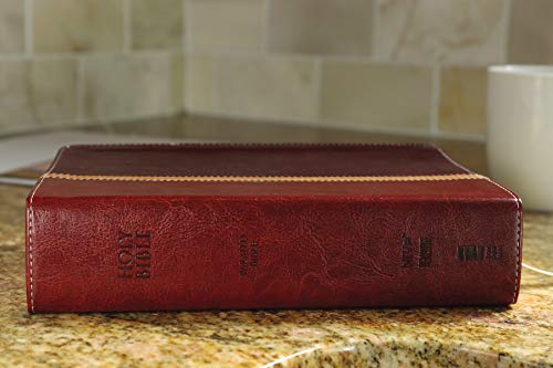 NIV & The Message Parallel Study Bible: Dark Caramel/Black Cherry Italian Duo-Tone