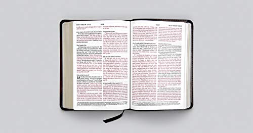 ESV Large Print Compact Bible