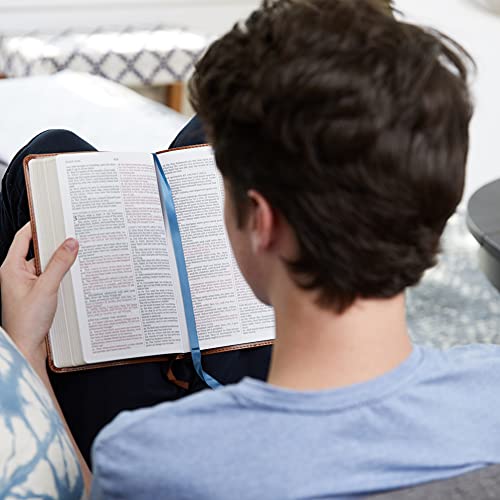 KJV, Thinline Bible Youth Edition, Leathersoft, Gray, Red Letter, Comfort Print: Holy Bible, King James Version