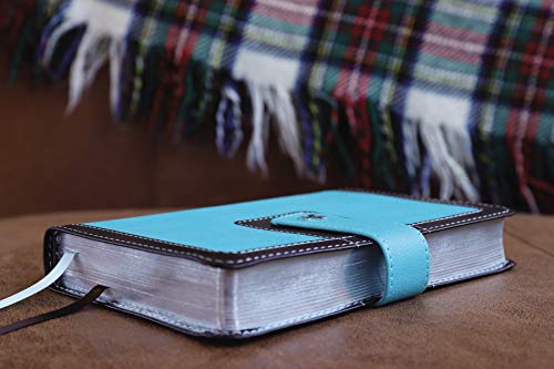 Holy Bible: New International Version, Turquoise/Chocolate, Leathersoft, Thinline, Red Letter