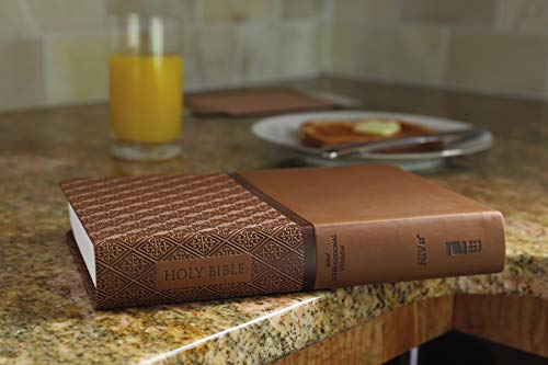 Holy Bible: New International Version, Tan, Italian Duo-tone, Readeasy Bible