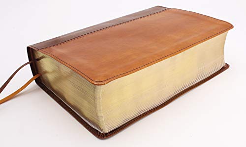 Holy Bible: New International Version, Brown Leathersoft, Giant Print: Red Letter Edition, Comfort Print