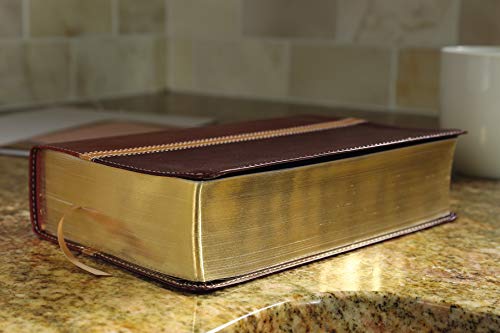 NIV & The Message Parallel Study Bible: Dark Caramel/Black Cherry Italian Duo-Tone